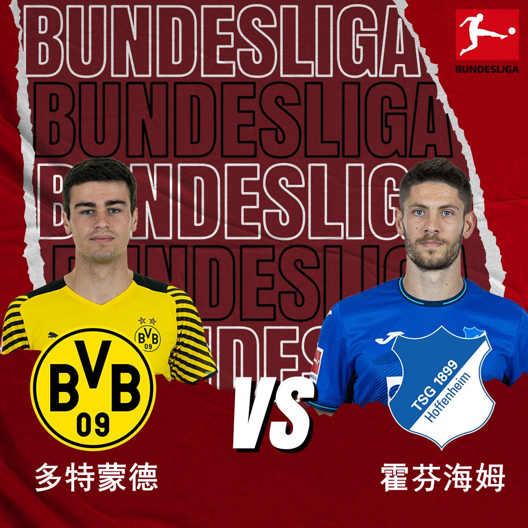 转会期曼联伤情更新浙江稠州止住颓势备战意甲，连对手都承认：科维托娃在公牛比赛中高光表现的简单介绍